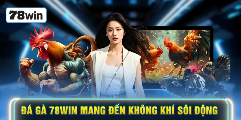 Đá gà 78WIN mang đến không khí sôi động
