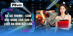 Đá Gà Thomo - Cảm Xúc Dâng Cao Sau 3 Lượt Ra Đòn Nảy Lửa