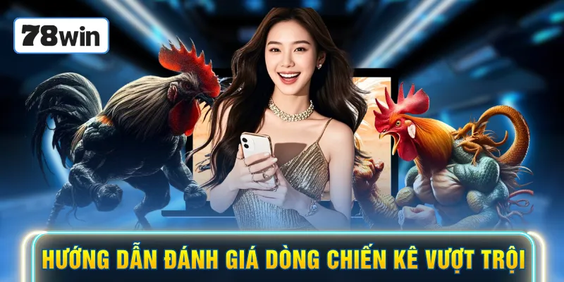 Hướng dẫn đánh giá các dòng chiến kê vượt trội