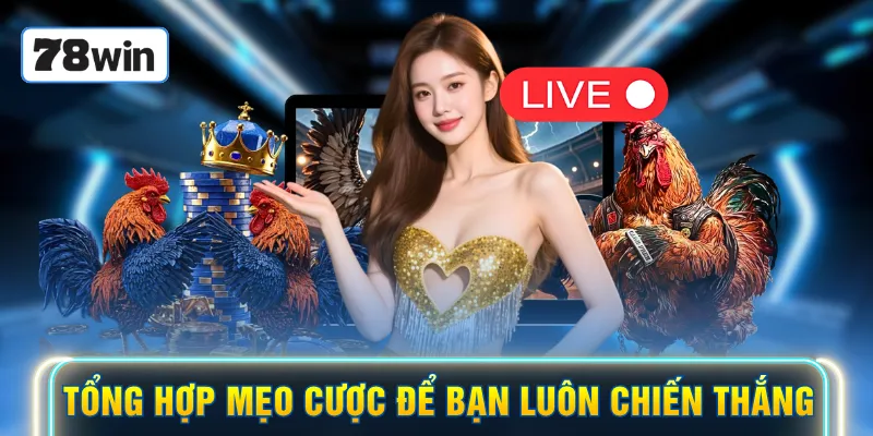 Tổng hợp mẹo cược để bạn luôn chiến thắng